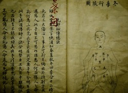 Chinese medicinal text